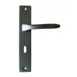 Poignée de porte LUNEL aluminium gris carbone 195mm - DT2000