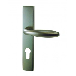 Poignée de porte PLAGNE aluminium nickelé satiné - DT2000