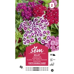 Graine d’ Oeillet poete double varié - SANRIVAL