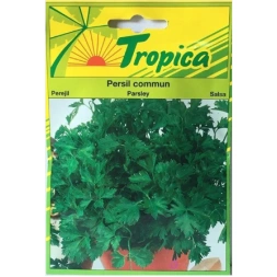Graine de Persil Commun 5gr - TROPICA