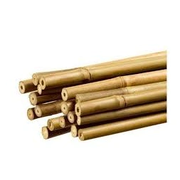 Tuteur en bambou 40 cm - NATUREL FLOWER