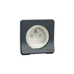 Prise de courant 2P+T composable gris MUREVA -IP55 - SCHNEIDER
