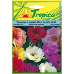 Graine de Pourpier Grande fleur double variée 2000gr - TROPICA