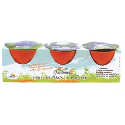 Pot à germer en bambou avec graines et substrat - 3 pièces