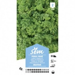Graine de Pérsil bravour - SANRIVAL