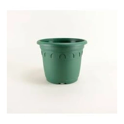 Pot Roma vert sapin 3L