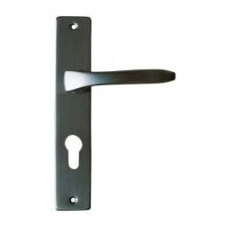 Poignée de porte LUNEL aluminium gris carbone cylindre 195mm - DT2000