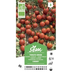 Graine de tomate cerise bio - SANRIVAL