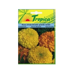 Graine de Rose d'Inde double grande variée 150gr - TROPICA