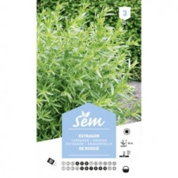 Graine d’ Estragon - SANRIVAL
