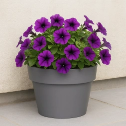 Pot fleur bordure 22cm ciment