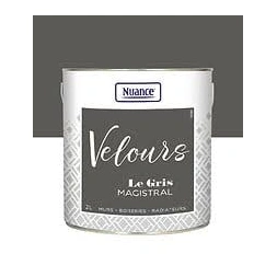 Peinture végétale velouté vert de gris 2.5L