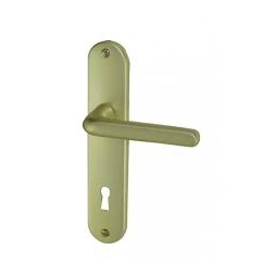 Poignée de porte TIGNES aluminium champagne 165mm - DT 2000