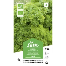 Graine de Pérsil frise bio - SANRIVAL