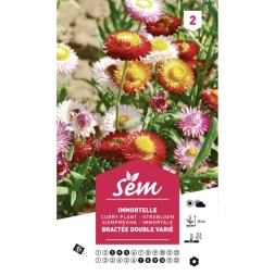 Graine Immortelle bract double varie - SANRIVAL