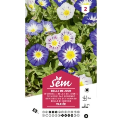 Graine Belle de jour varie - SANRIVAL