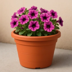 Pot Tarraco 6 L - SOPARCO