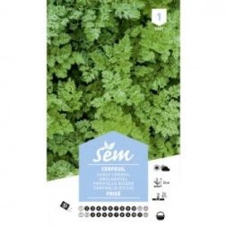 Graine de Cerfeuil frise - SANRIVAL