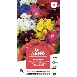 Primevere - SANRIVAL