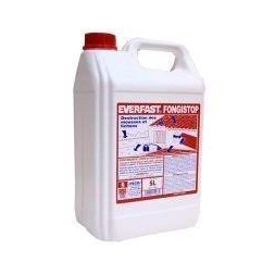 Traitement pour bois préventif et curatif FONGISTOP 2 L - EVERFAST