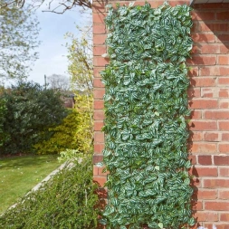 Panneau cccultant Luscious 60 x 40 cm - SMART GARDEN