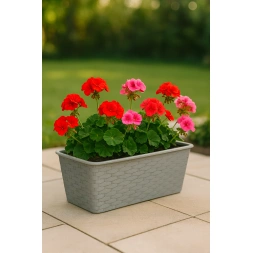 Jardinière plastique effet rotin 40 x 16,5 x 12 cm GARDEN PLASTIC