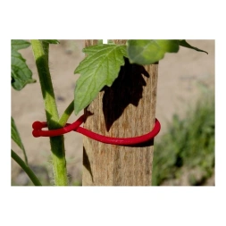 Clip spécial tomate rouge  12 pièces