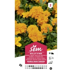 Graine d' Oeillet d'inde double nain tangeri - SANRIVAL