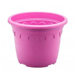 Pot Roma fuschia 4.6L