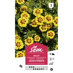 Graine d’ Œillet d´inde légion d´honneur - SANRIVAL