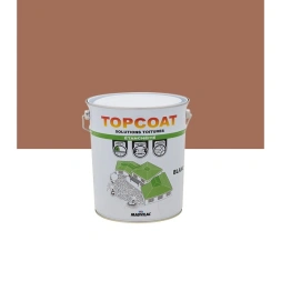 Topcoat étanchéité tuile 5 kg