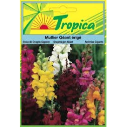 Graine Muflier Géant Erige 3000gr - TROPICA