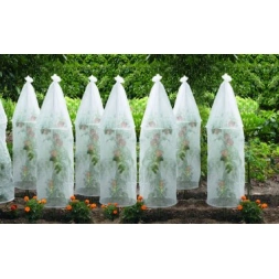 Housse de protection pour tomates - CELLOPLAST
