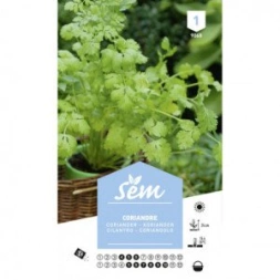 Graine de Coriandre - SANRIVAL
