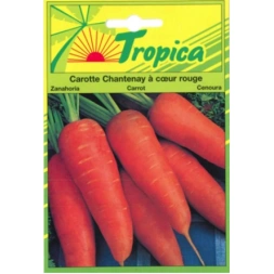 Graine de Carotte Chantenay coeur rouge 6gr - TROPICA
