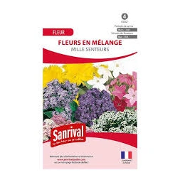 Graine de fleurs en mélange - mille senteurs - SANRIVAL
