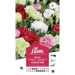 Graine d' Oeillet chabaud varié - SANRIVAL