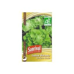 Graine de Laitue batavia blonde de paris - SANRIVAL