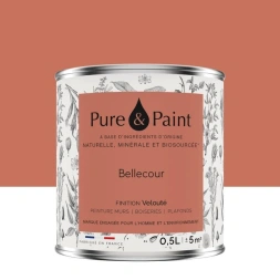 Peinture végétale velouté bellecour 0.5