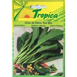 Graine de Chou de Chine Tsoi Sim 3gr - TROPICA