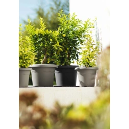 Pot à fleurs blanc Ø26cm