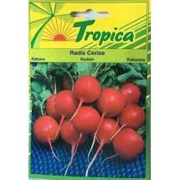 Graine de Radis Cerise 8gr - TROPICA