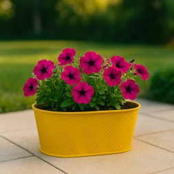 Jardinière shape - CP INTERNATIONAL