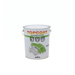 Topcoat étanchéité blanc 5 kg - MAUVILAC