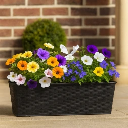 Jardinière plastique effet rotin 50*19*14.5 CM LICORICE GARDEN PLASTIC