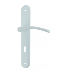Poignée de porte CLUSES aluminium/acier laqué blanc serrure 195mm