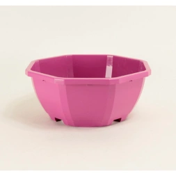 Coupe décorative fuschia 21cm
